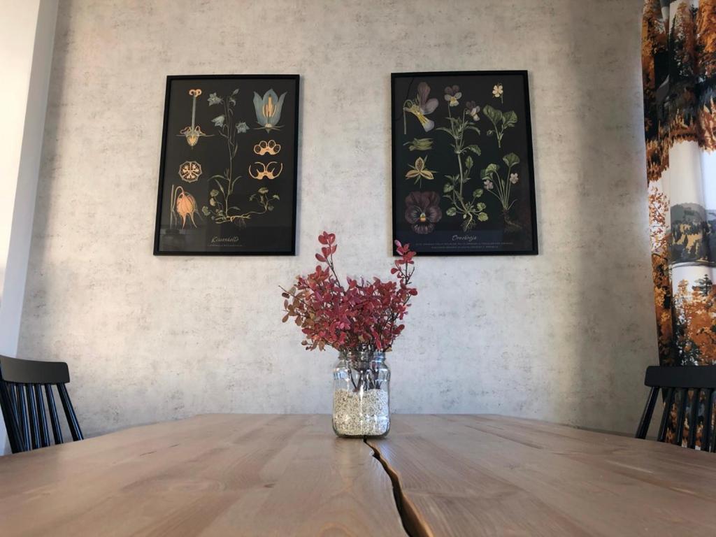 Northern Lights Center Apartment 罗瓦涅米 外观 照片